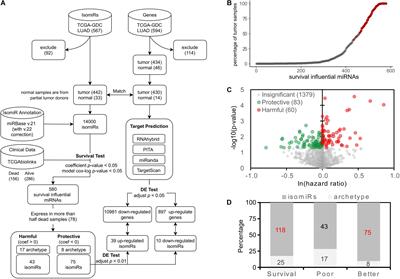 Identification and Elucidation of the Protective isomiRs in Lung Cancer Patient Prognosis